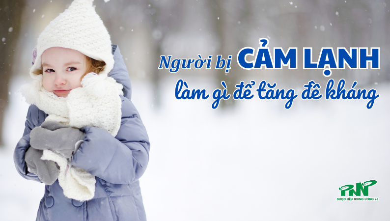 Người bị cảm lạnh nên ăn gì để tăng đề kháng và nhanh khỏi bệnh?